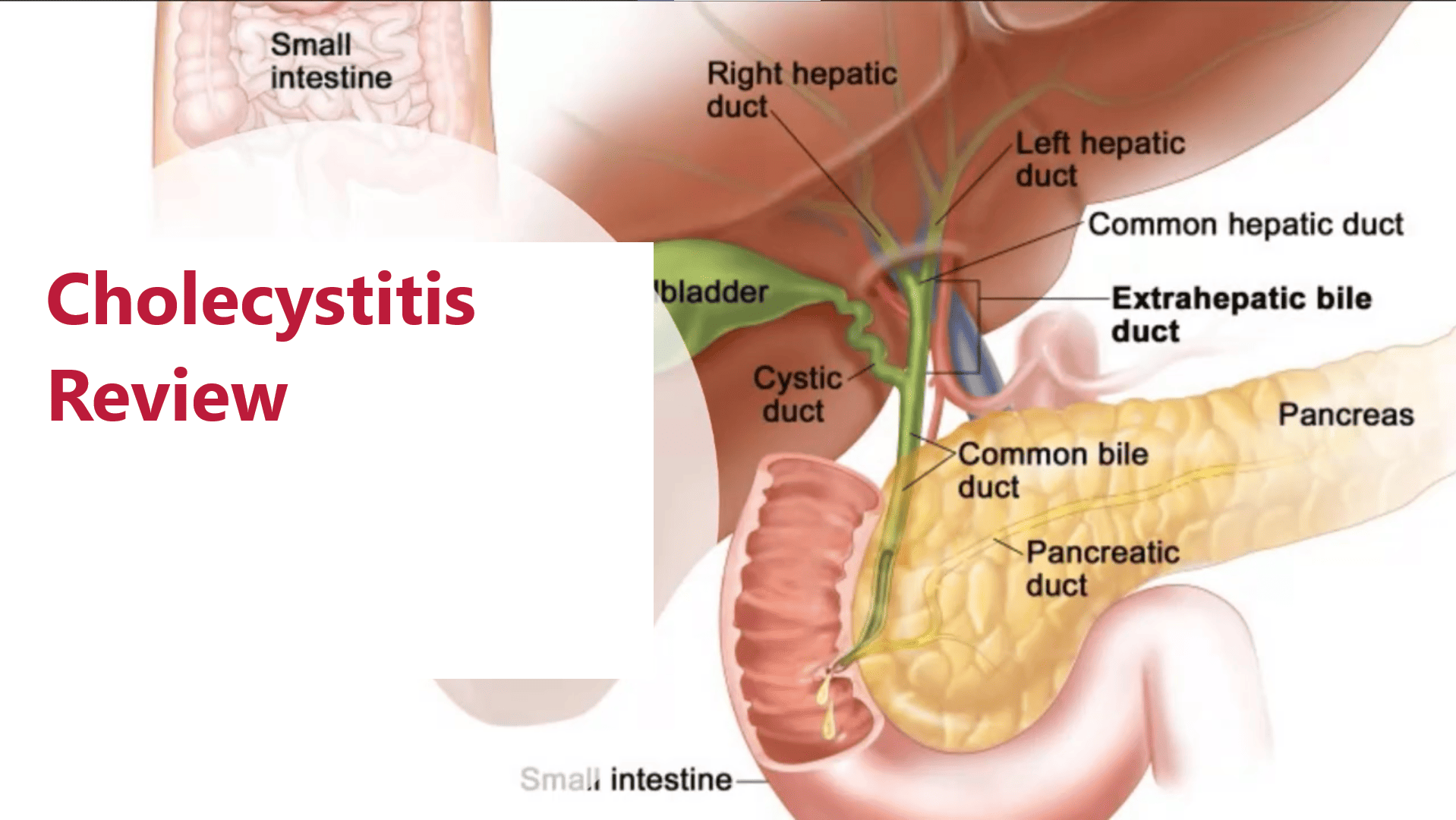 Nursing Review Workshops
