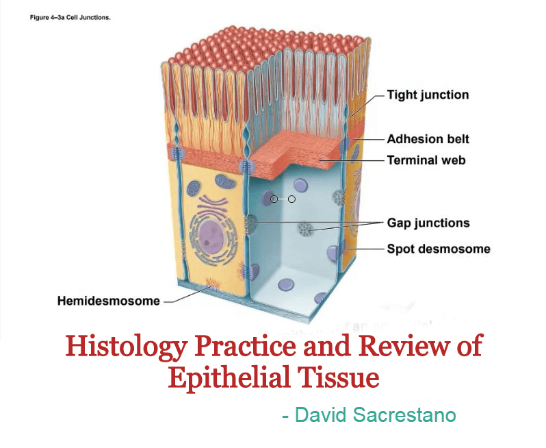 A&P Review