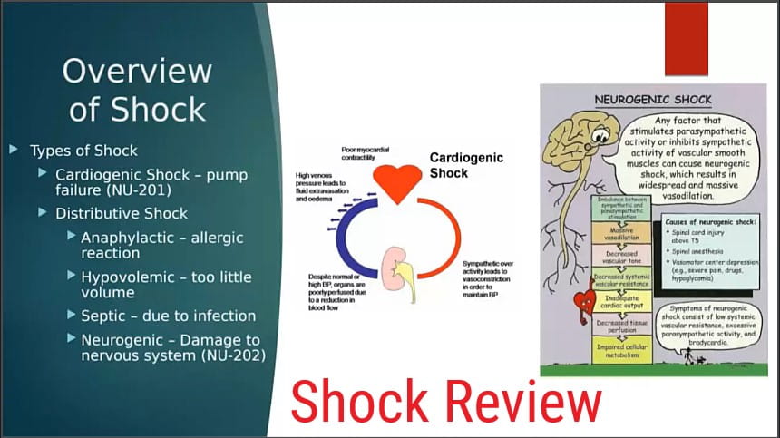Nursing Review Workshops